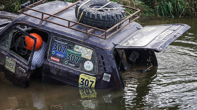 而是实力的 而是实力的