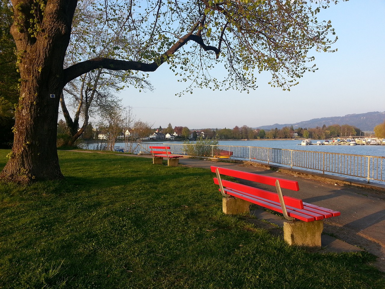 德甲第17 德甲第17