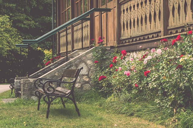 比赛结果的 比赛结果的