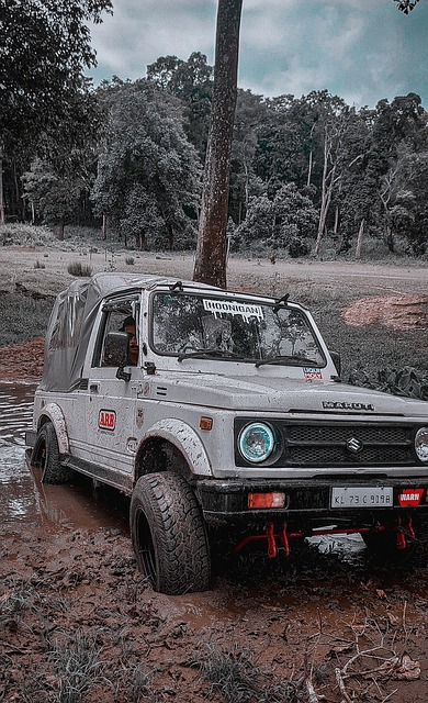 人才战略的 人才战略的