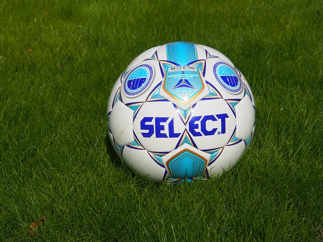 将球送入西 将球送入西