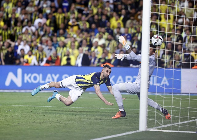 的热情和贡 的热情和贡