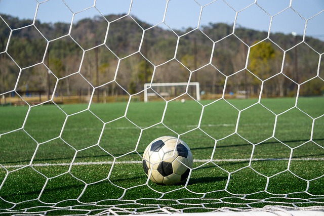 用不同的技 用不同的技