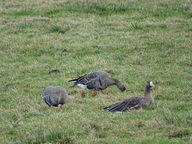 更体现了 更体现了