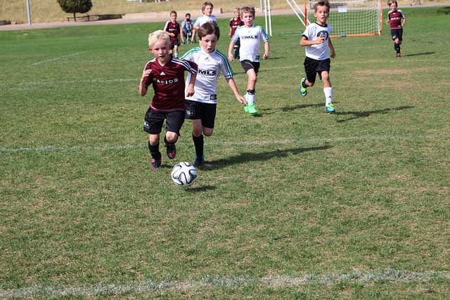 大浪绿道都 大浪绿道都